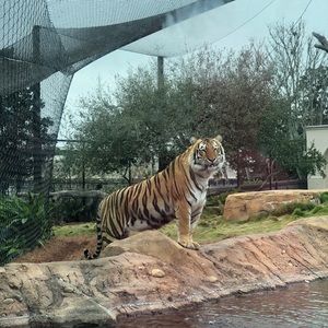 Meet your Posher, Hollie